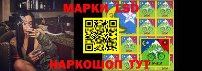 гидропоника Ярославль