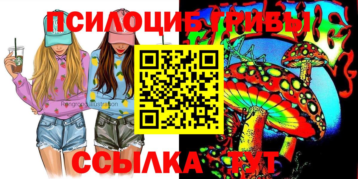 Казань  где купить наркоту  Вход с VPN  Псилоцибиновые грибы мицелий  Псилоцибиновые грибы MAGIC MUSHROOMS 